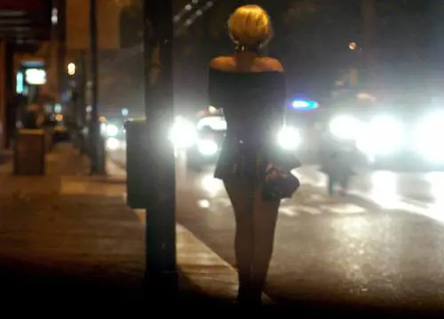 Caccia alle lucciole sul web 
Multe da 500 euro ai clienti