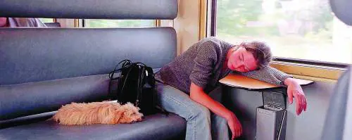 Cani in treno, i padroni mostrano i denti e le Ferrovie sospendono il divieto