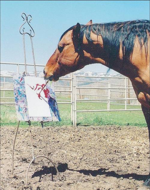 Cholla, il cavallo che dipinge 
meglio di un artista del pennello