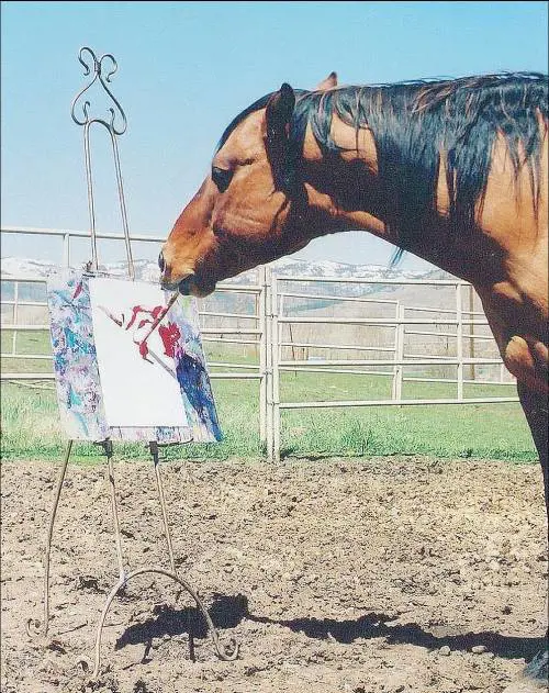 Cholla, il cavallo che dipinge 
meglio di un artista del pennello