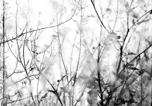 Delogu, un’anima in cerca di libertà dietro l’obiettivo