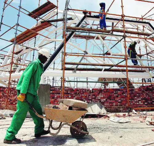Sprechi, soldi per studiare le rondini del Katanga