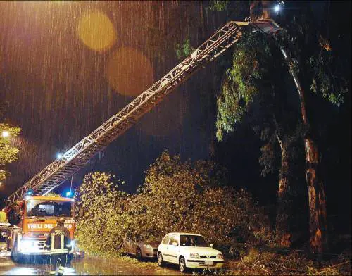 Maltempo, tredicenne schiacciato da un albero