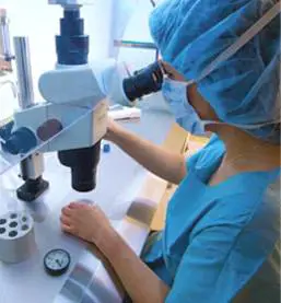 Malattie autoimmuni: presto il vaccino contro il "lupus"