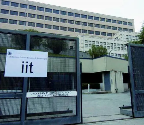 Il governo mantiene le promesse e lIstituto di tecnologia decolla