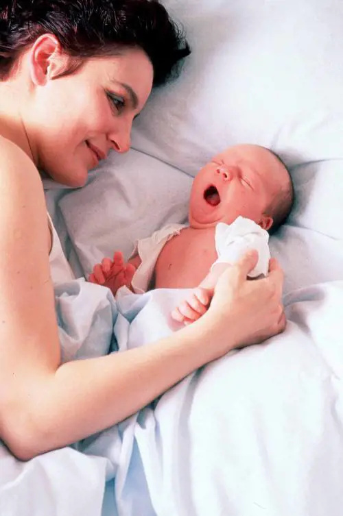 Torna la cicogna in Italia, 
le nascite sono in ripresa: 
prima volta dagli anni '60