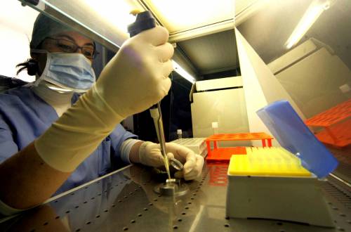 La bambina Ogm: non avrà il cancro al seno