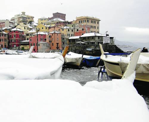 Genoa-Torino si gioca in prefettura Campo pronto se oggi arriva l’erba