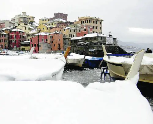 Genoa-Torino si gioca in prefettura Campo pronto se oggi arriva lerba