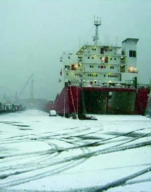 Lassessore si vanta: «Abbiamo fatto le multe ai negozianti»