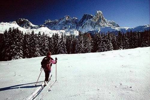 Trentino: scoprire la natura anche d'inverno