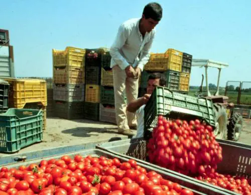 Pensioni agli immigrati, l’Inps rischia il crac
