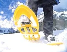 Ciaspolate e sleddog 
sull'Appennino bianco