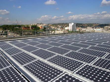 Il futuro dell'energia solare? Pannelli fotovoltaici al mirtillo