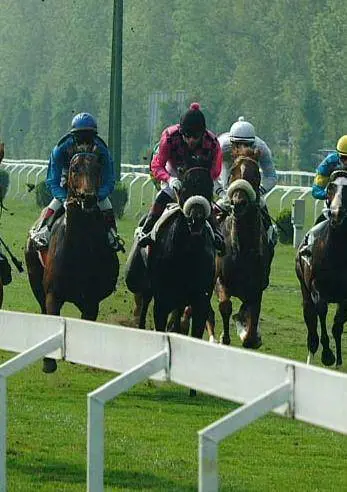 «Voglio allenarmi con Cassano per dirgli delle mie 1.400 donne»