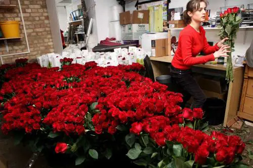 Festa degli innamorati?  
Non ne possiamo più