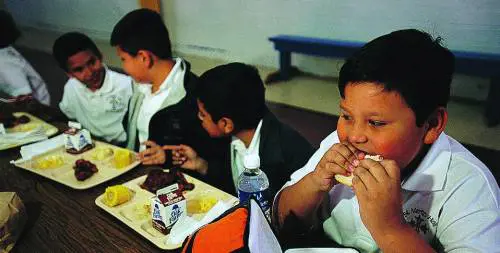 Obesità: 23 morti al giorno. Sovrappeso il 40% dei lombardi Sempre più frequenti infarti, ictus e altri disturbi legati alleccesso di peso. A scuola problemi per un bambino su quattro