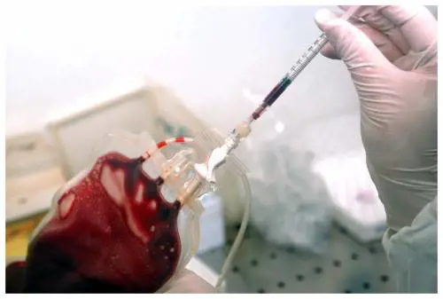 Biotestamento, idea bipartisan: 
"Rinviamo dopo le europee"