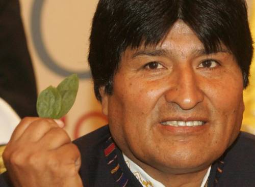 Morales mastica una foglia di coca davanti all'Onu