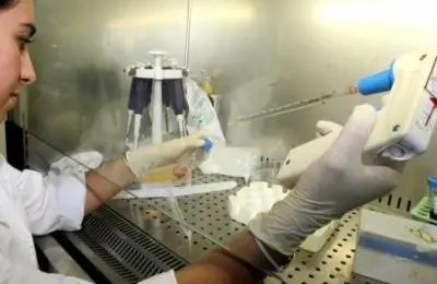 Gb, in arrivo sangue artificiale  
da cellule staminali embrionali