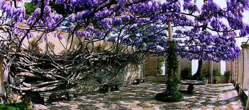 Prove destate: Santa e Rapallo le più care