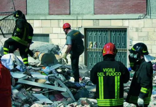 Nala tra le macerie con la forza di una leonessa