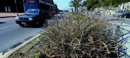 Se la fiducia muore nellattesa