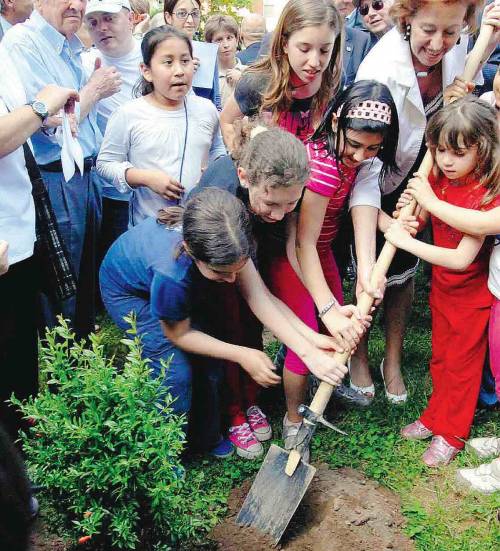 Fra i palazzi spunta il giardino fai da te 
La Moratti: "Un esempio per tutta la città"