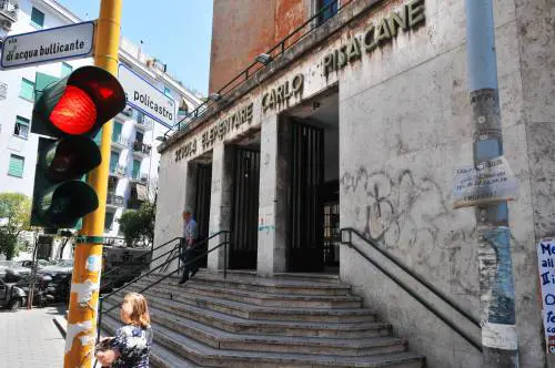 Pisacane, Gelmini: non cambi nome