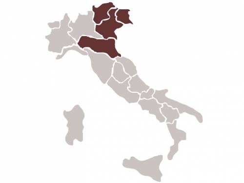Lista dei candidati al Parlamento Europeo - Circoscrizione Italia Nord orientale