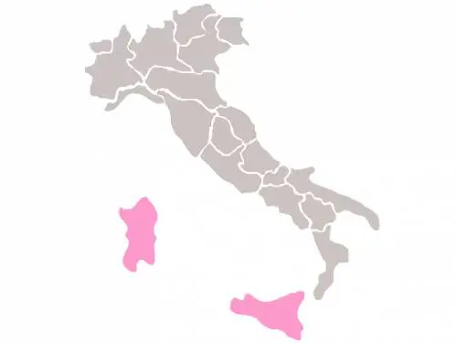 Lista dei candidati al Parlamento Europeo - Circoscrizione Italia insulare