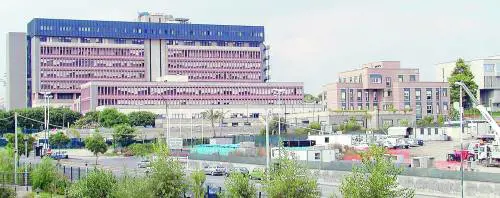 Quattro neonati morti in 72 ore Allarme virus allospedale