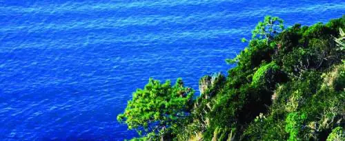 La «prof» che vuole togliere la città da dietro la Lavagna