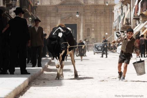 Il kolossal di Tornatore apre la Mostra di Venezia