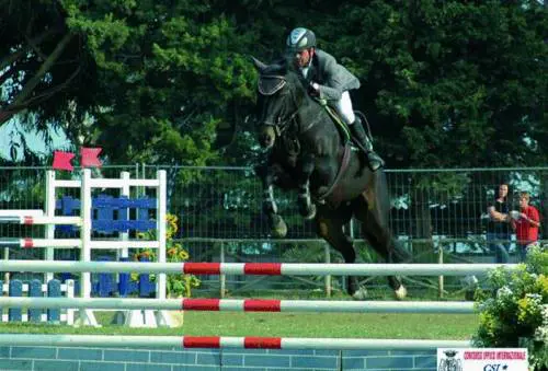 Il Comune ricorre contro il Tar per salvare lEuropa del Genoa