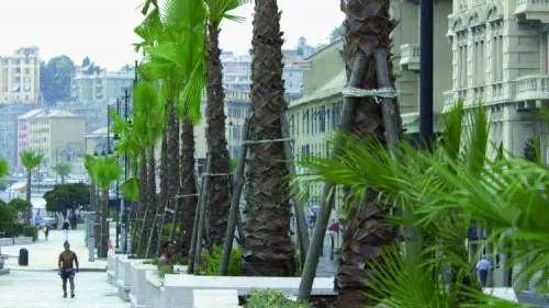 Le baby gang ora aggrediscono le mamme