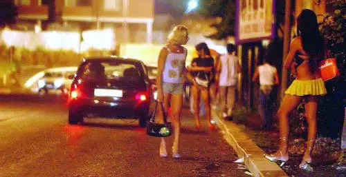 Il Tar respinge il ricorso pro-lucciole