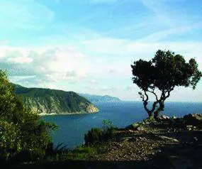 Estate di tesori nei golfi Tigullio e Paradiso