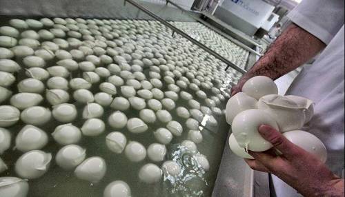 Coldiretti: "Una mozzarella su quattro da cagliate"