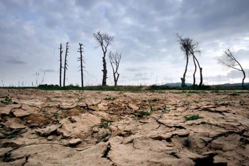 Clima, il Wwf dà i voti: 
Italia quarta tra i big 
Bocciati 5 Paesi del G8