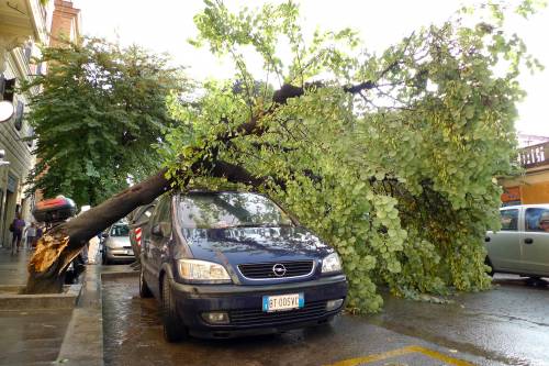 Maltempo nella Capitale  
Grandine e forte vento  
mandano il traffico in tilt