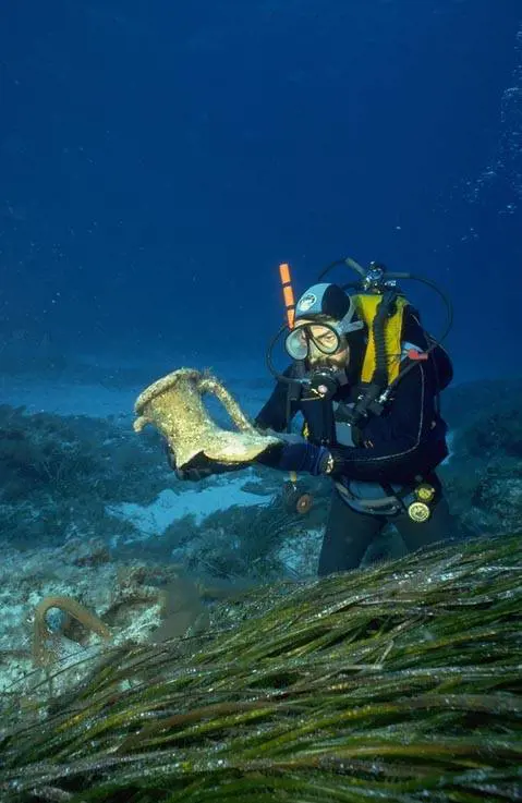 Ventotene, scoperta una flotta 
di cinque navi di epoca romana