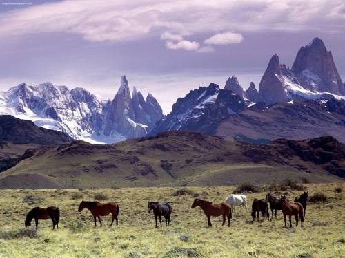 Viaggi letterari? Non basta la Patagonia