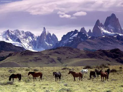 Viaggi letterari? Non basta la Patagonia