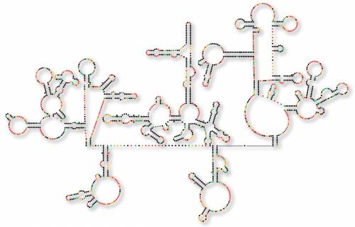 Aids, scoperto genoma dell'Hiv