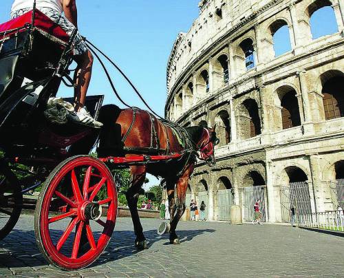 Roma, controlli a Testaccio sulle condizioni di oltre settanta cavalli