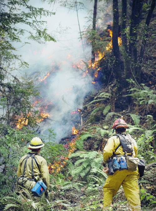 California in fiamme e Schwarzy ordina: abbandonate le case