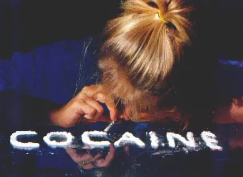 Quei velieri dei narcos che solcavano l'oceano. ​34 arresti in Calabria