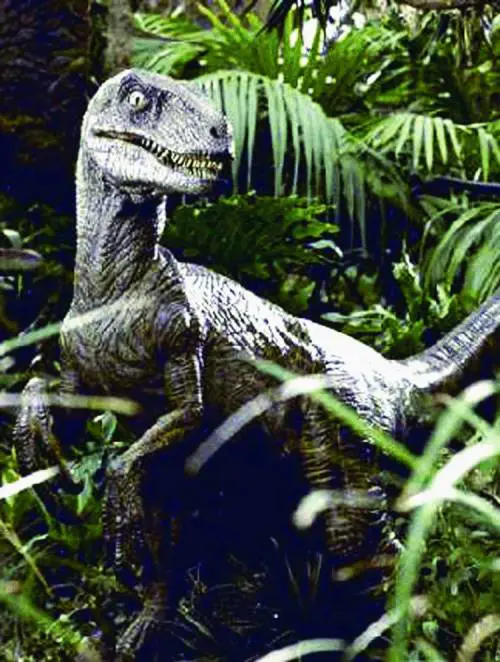 Domanda Perché si pensa solo al Lido?