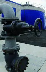 Liquami in mare: «I depuratori non centrano»